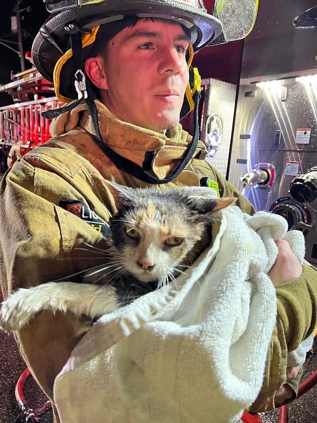 Firefighter Ryan Jovanovich rescued a cat from a home fire.